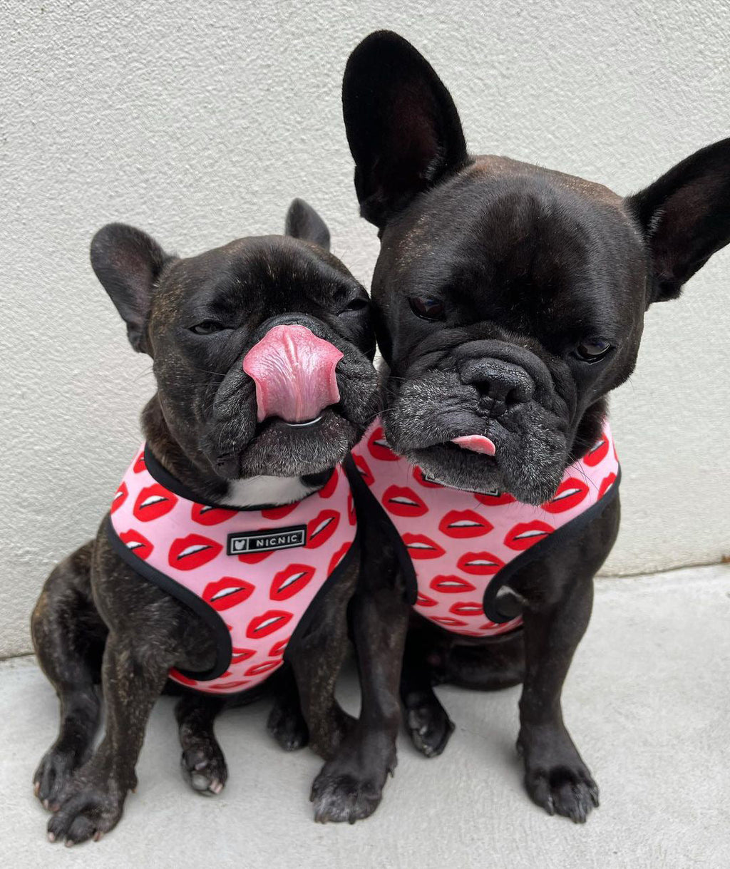Luxury Red Lips Breathable Mesh Harness Chest Back + Traction