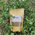 Jamaican Blue Vervain (Wildcrafted)