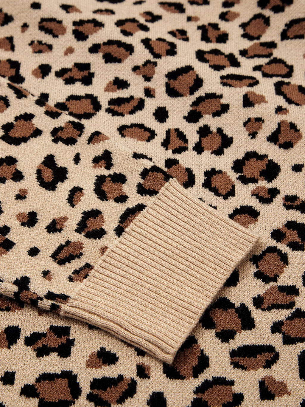 Leopard Long Sleeve Sweater