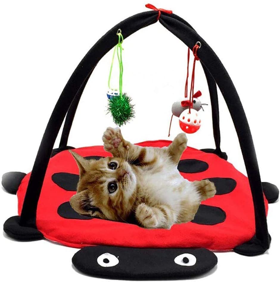 Black Ladybug Cat Play Mat