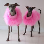 Haute Couture Feathered Luxury Pet Sweater