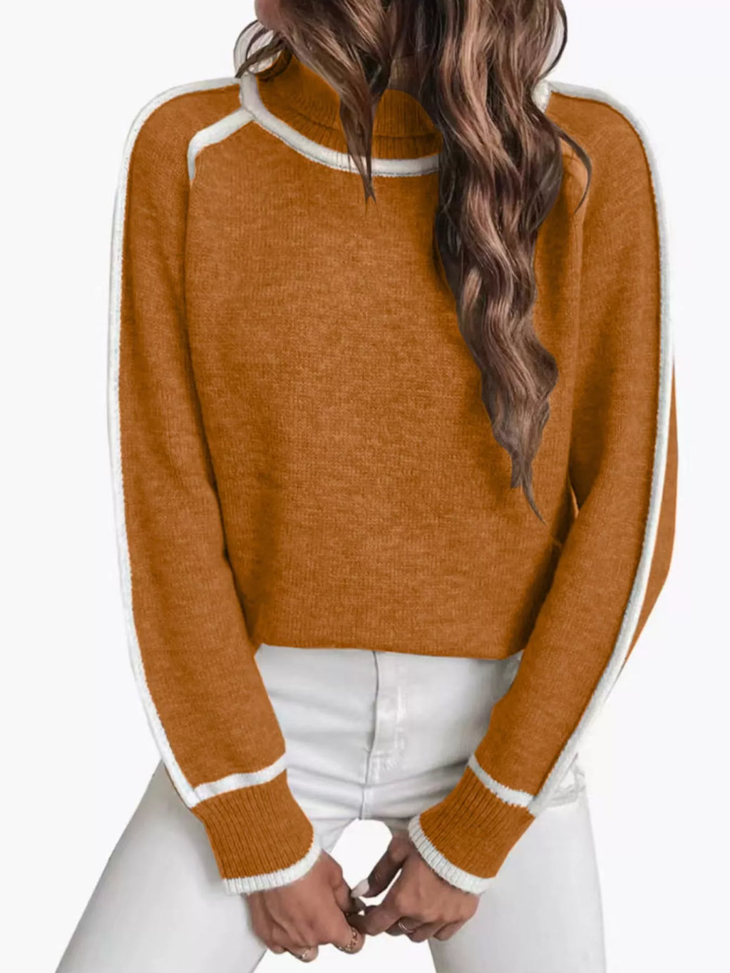 Full Size Turtleneck Contrast Trim Sweater Plus Size
