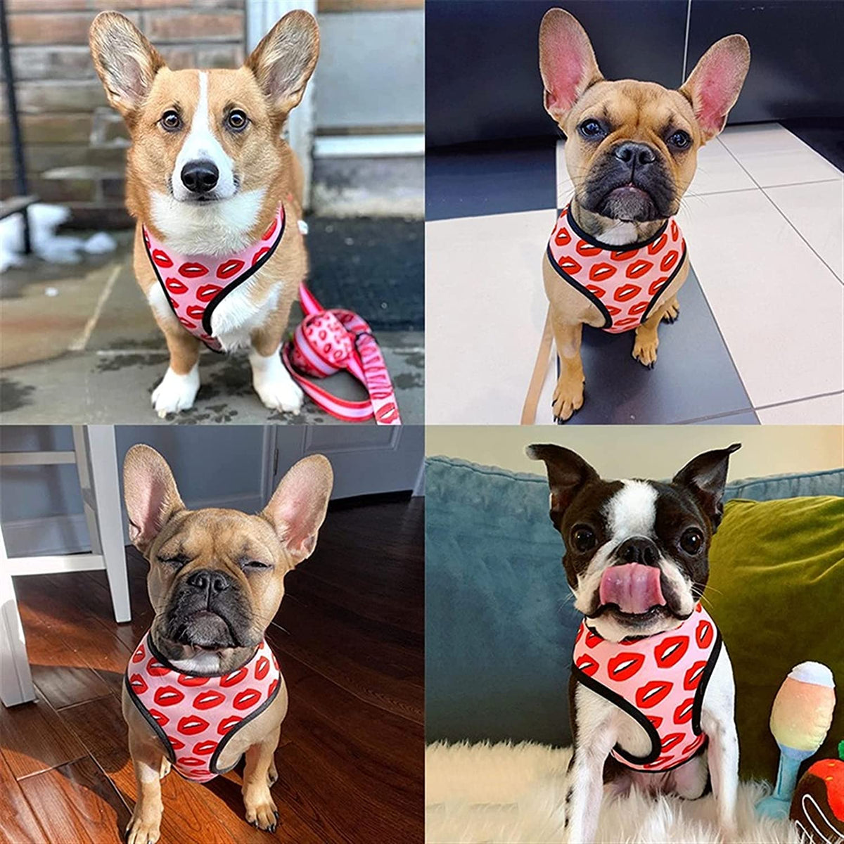Luxury Red Lips Breathable Mesh Harness Chest Back + Traction