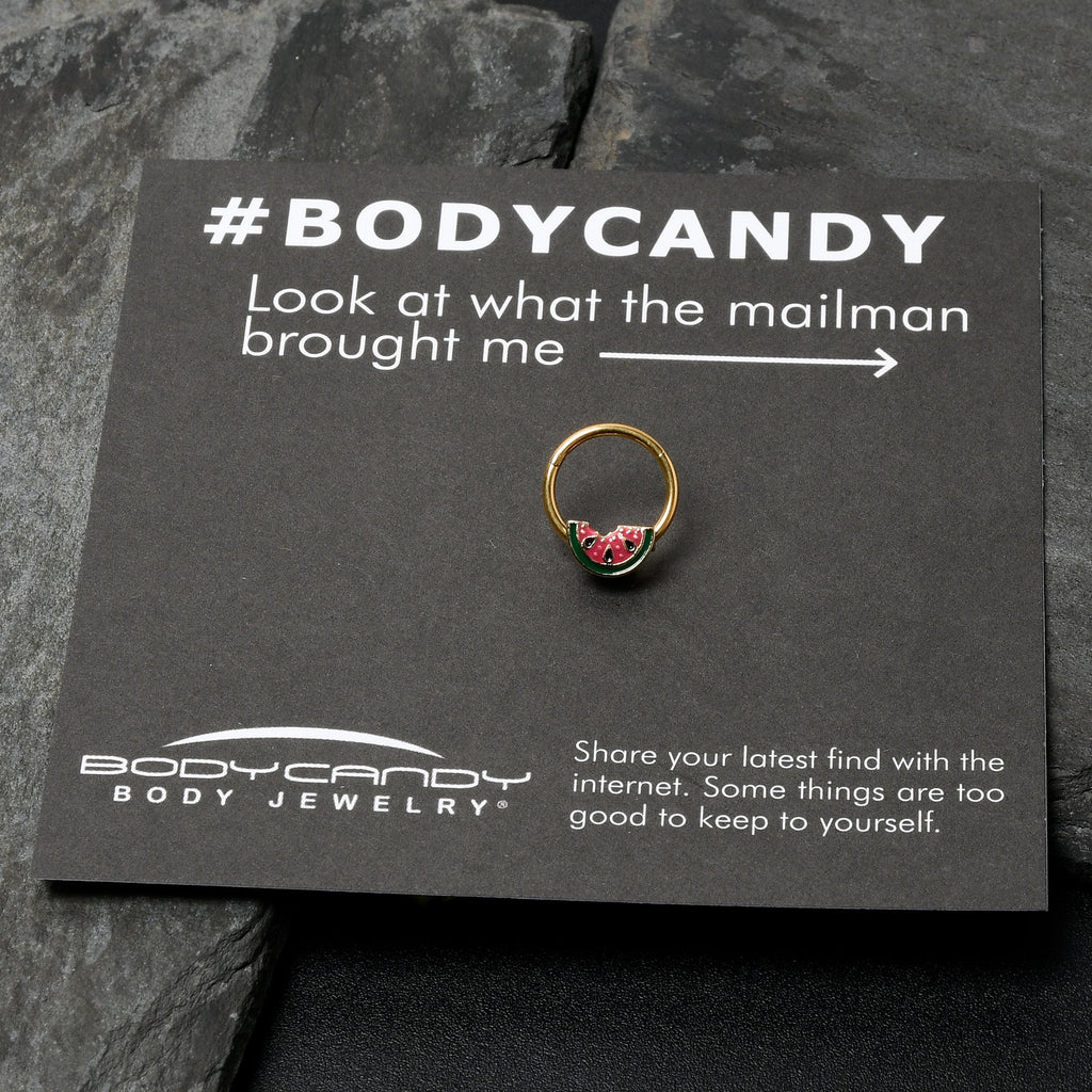16G 3/8 Gold Tone Watermelon Bite Hinged Segment Ring