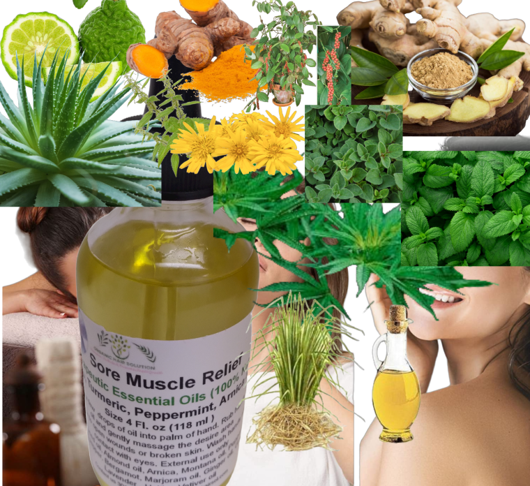 Sore Muscle Massage Oil for Joint & Muscles-Natural Therapy Oil with  Hemp Seed, Arnica Montana Oil & Peppermint