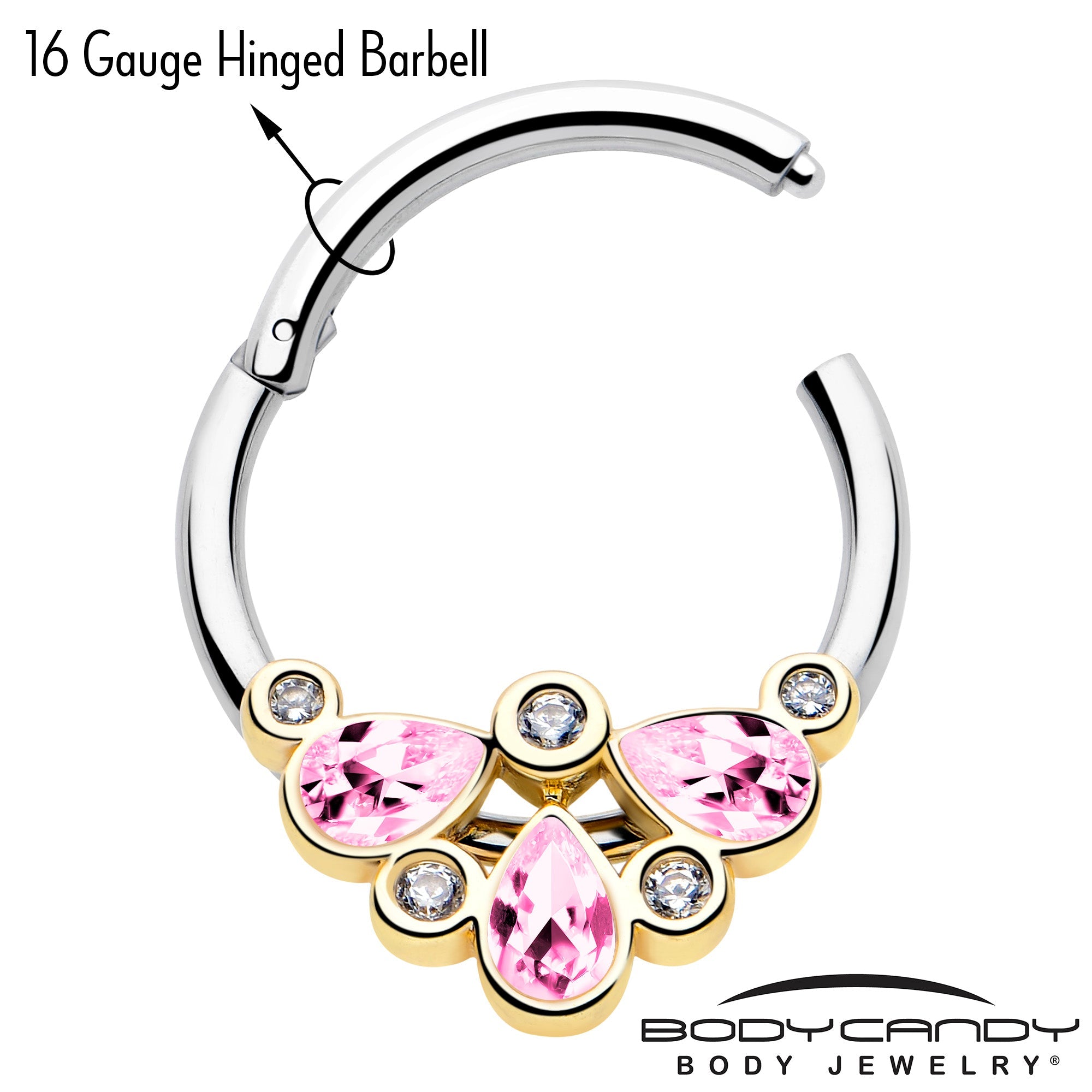 16G 3/8 Pink Gem Golden Crown Deluxe Hinged Segment Ring