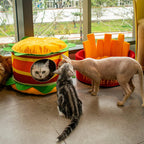 Hamburger French Fries Pet Bed
