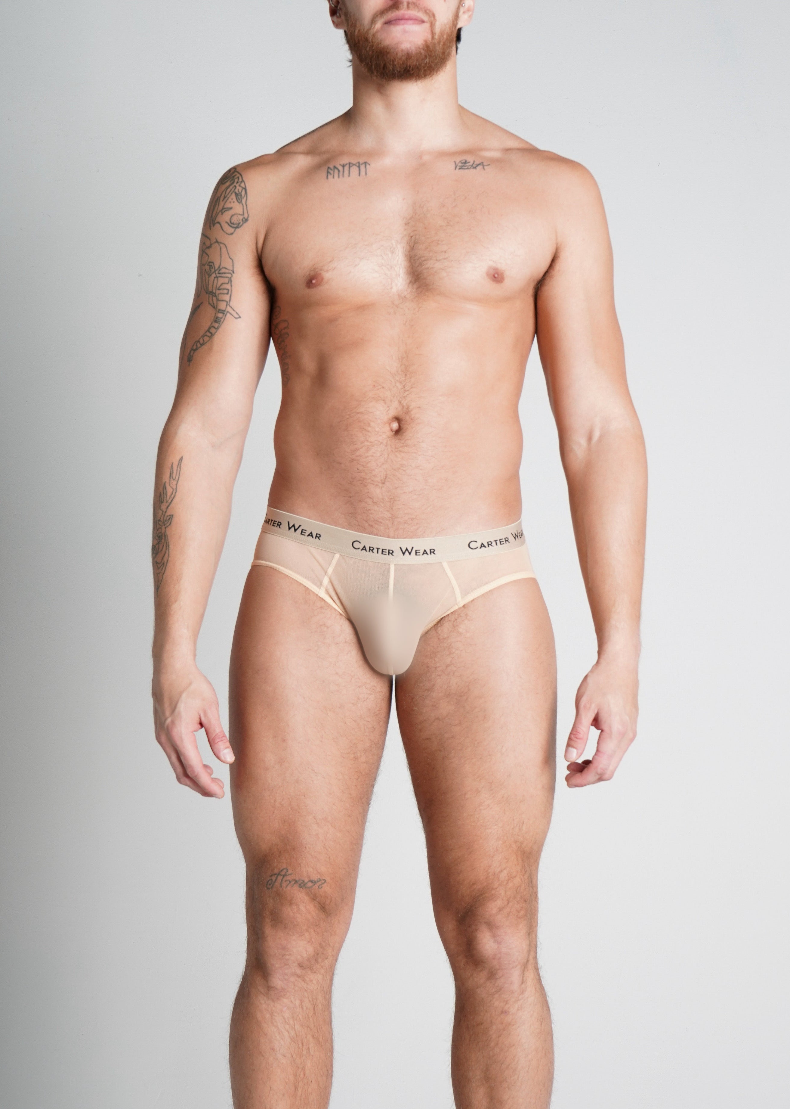 Cortado Micro Mesh Brief