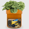 Flower Pot Hidden Safe