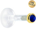 Solid 14K Yellow Gold 2mm Genuine Blue Sapphire Bioplast Push in Labret