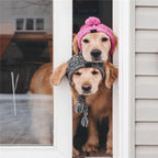 Autumn Winter Warm Knitted Pet Hats With Fluffy Ball