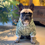 Money Print Dog Hoodie