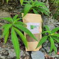 Jamaican Search Me Heart (Heart Bush) 1 oz