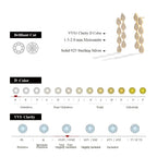 MINTYBOX S925 Silver 2.59ct Lab Diamond Moissanite Drop Earrings for Women 18k Gold Plated Leaves Dangle Wedding Earring Jewelry