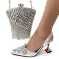 Italy beautiful Italian Shoes with Matching Bag Set HSW1-22