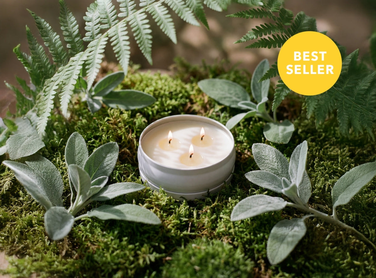 Woodland Sage 3-Wick Candle