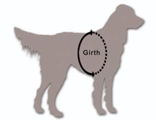 Bulletproof Vests for Dogs | Breathable Bulletproof K-9 Harness