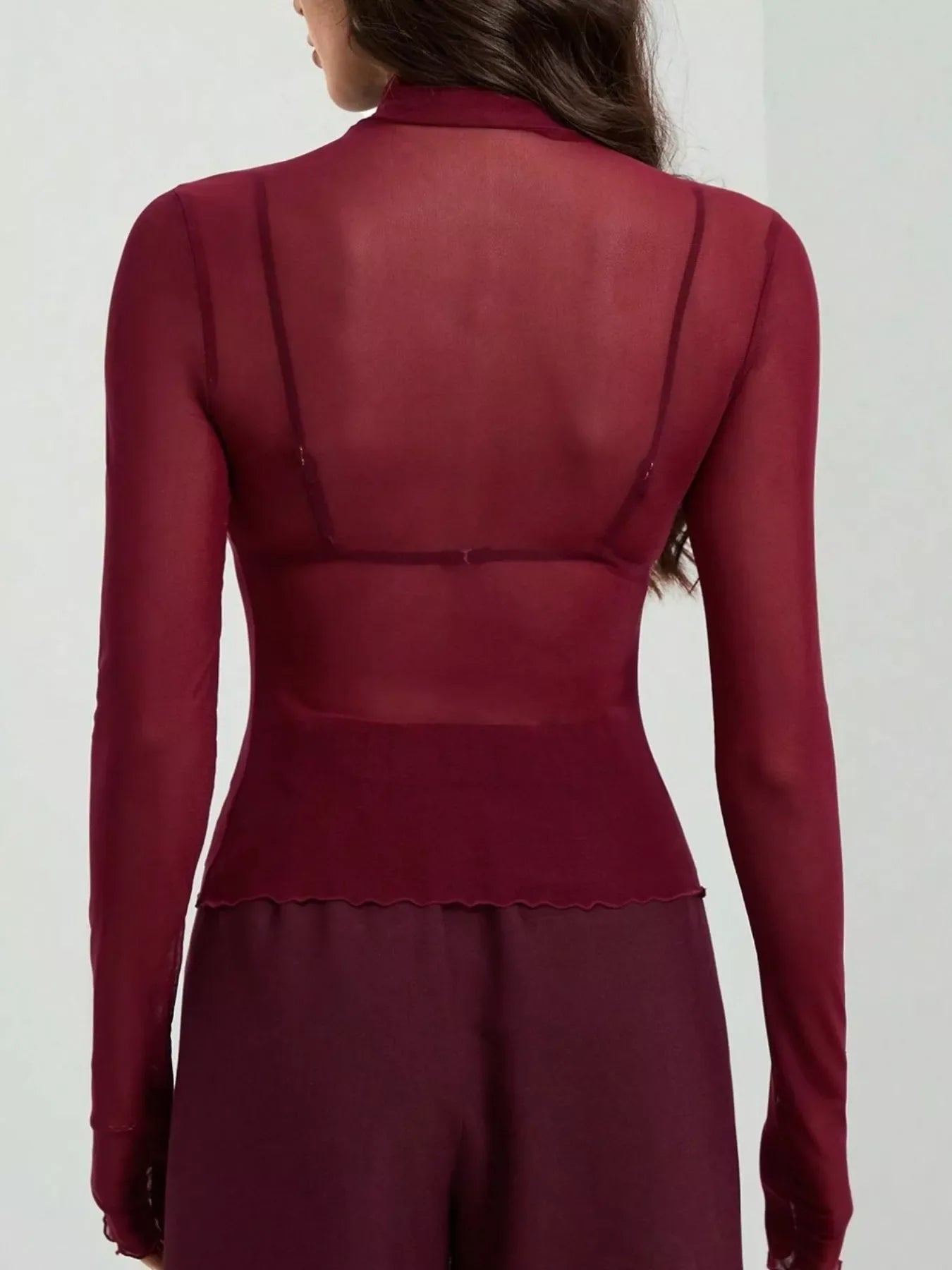 Sheer Mesh Turtleneck Top