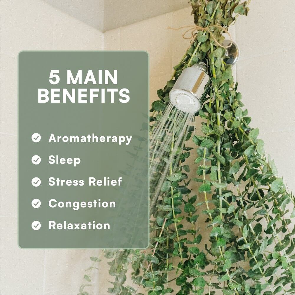 Sore Muscle Massage Oil for Joint & Muscles-Natural Therapy Oil with  Hemp Seed, Arnica Montana Oil & Peppermint