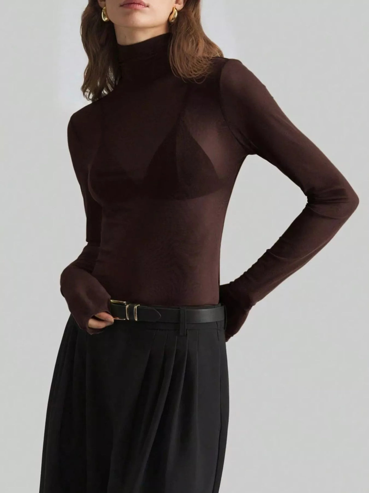 Sheer Mesh Turtleneck Top