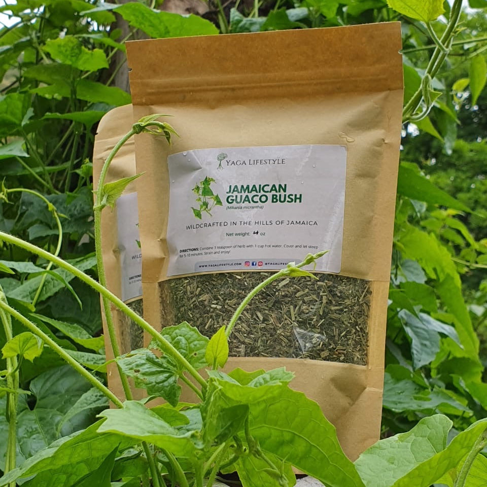 Jamaican Guaco Mikania (Wildcrafted, Air-Dried, Dr Sebi Approved Alkaline Herb)