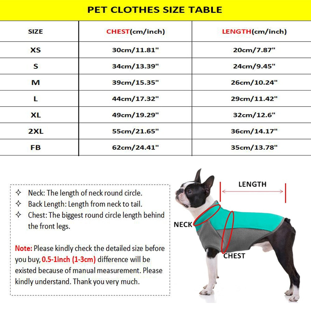Money Print Dog Hoodie