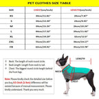 Money Print Dog Hoodie