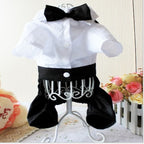Handsome Stylish Pet Suit with Bow Tie