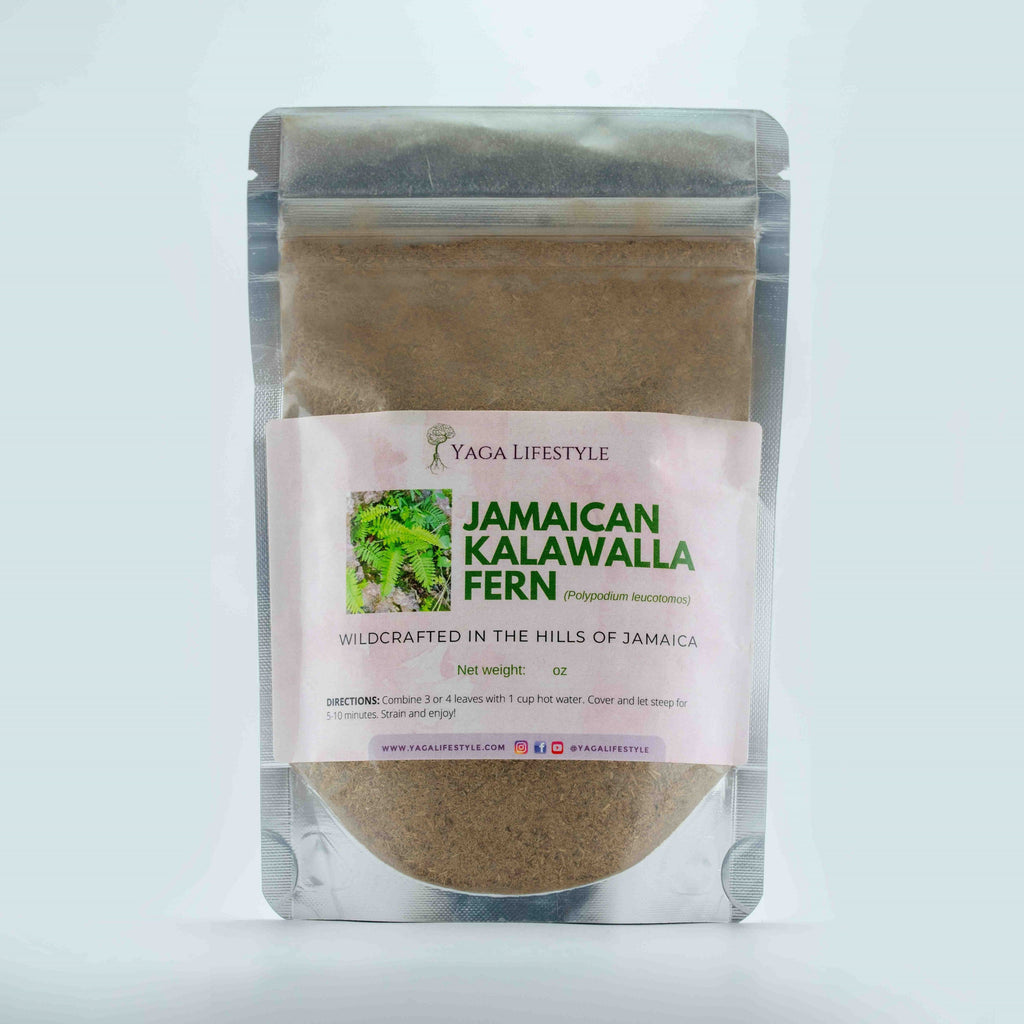 Jamaican Kalawalla Herb | Calaguala | Polypodium Sp. | 2 oz coarse powder
