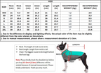 Mesh Basketball Uniform Jersey for Dog Cat Pet