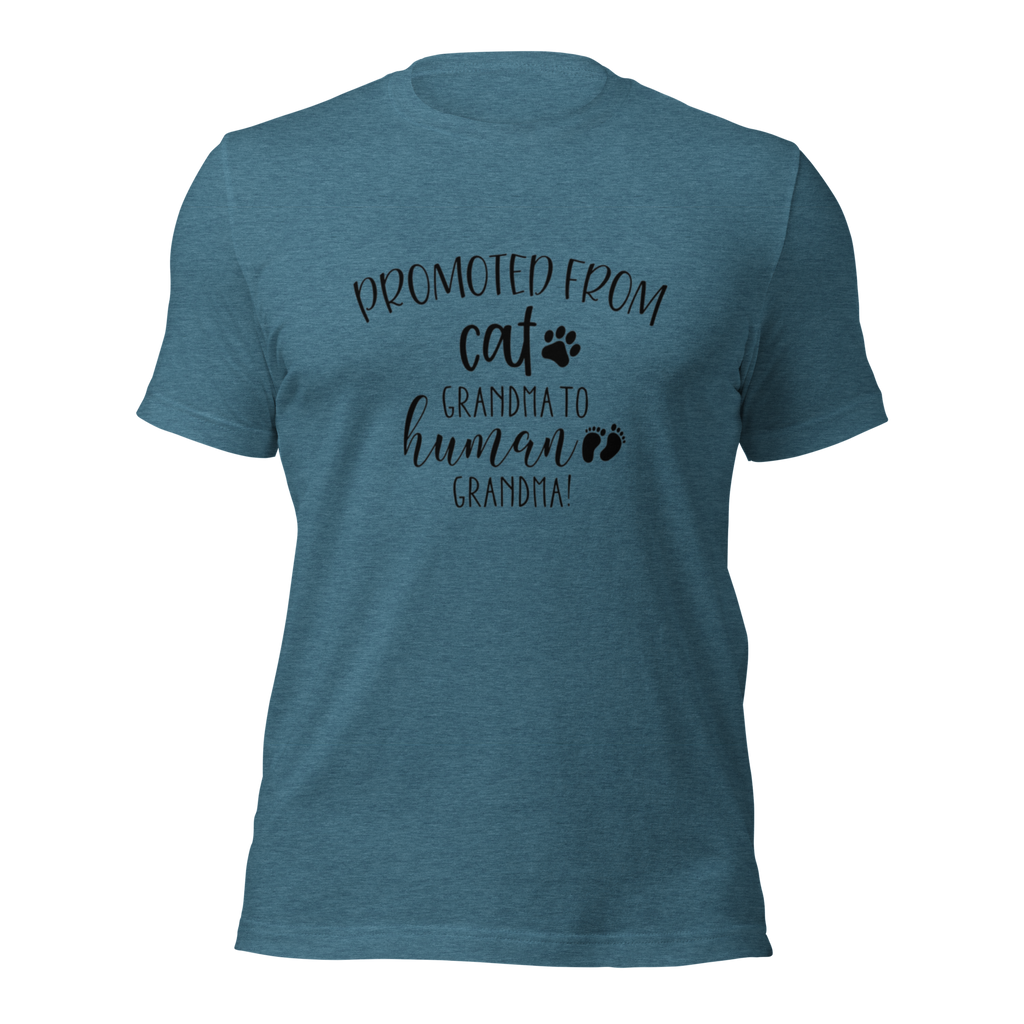 Promoted from Cat Grandma to Human Grandma T-Shirt