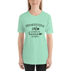 Promoted from Cat Grandma to Human Grandma T-Shirt